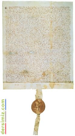 Magna Carta Nedir?